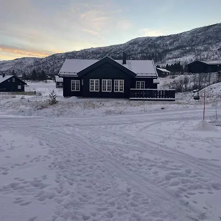 Mountain At The Foot Of Hardangervidda Дом отдыха